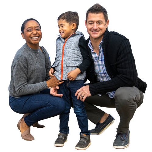 calculators-eggrs-term-life-insurance-human-life-value-calculator